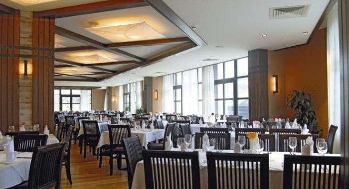 Hotel Lion, Borovets ski chalet, image 3